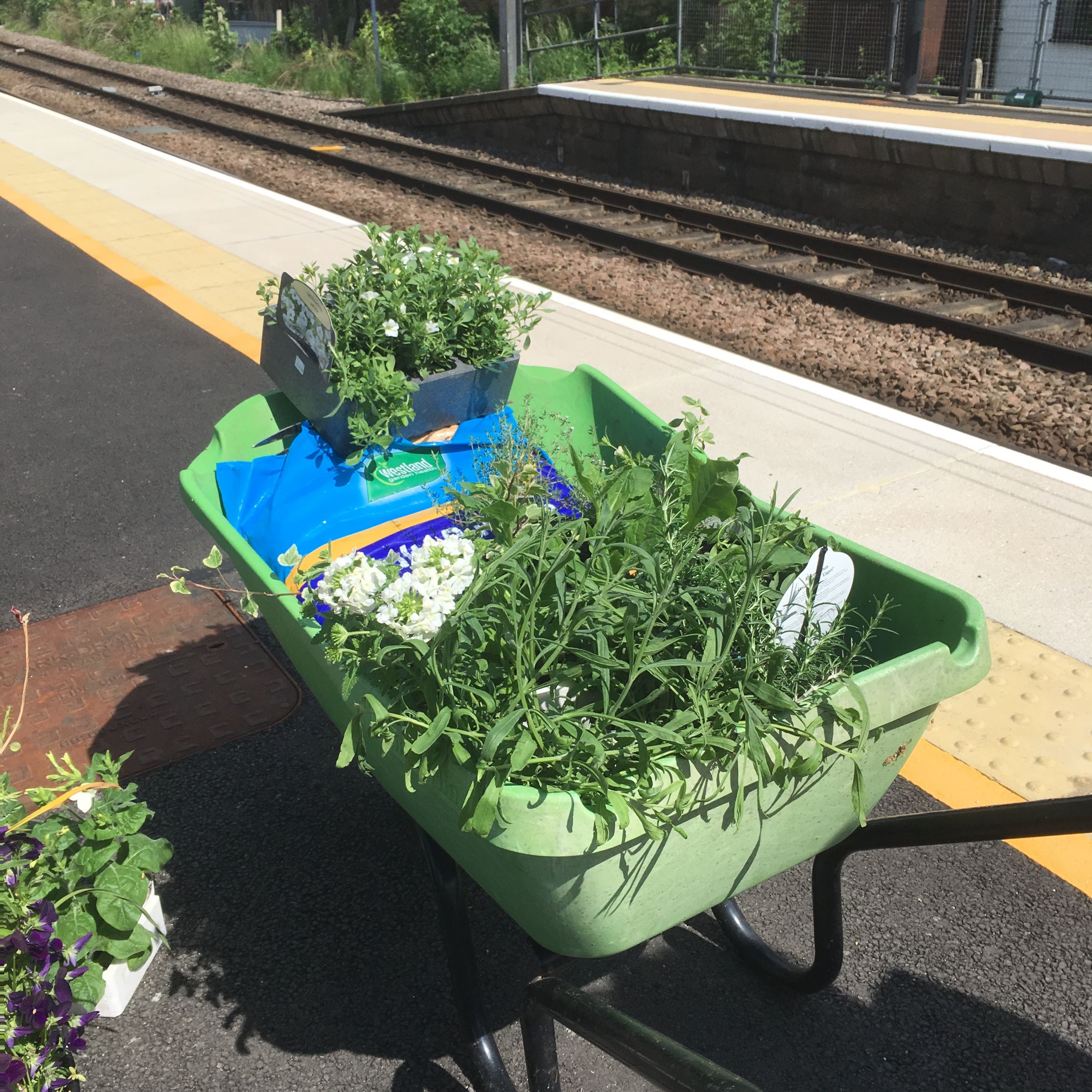 Wheelbarrow on the platform